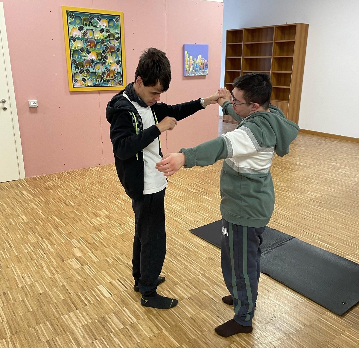 Il progetto TeatrAnima Insieme Il progetto TeatrAnima Insieme