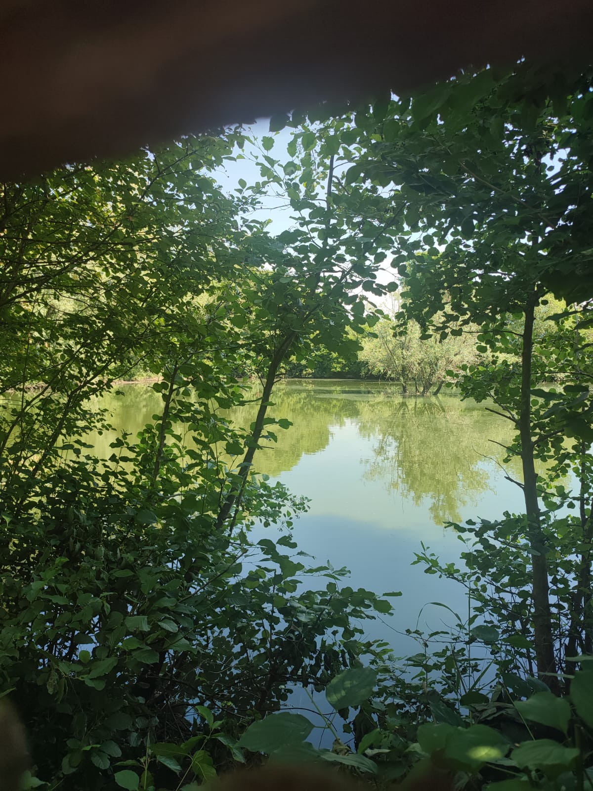 Una mattinata all’Oasi “Rossato”