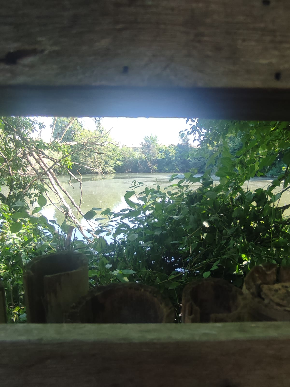 Una mattinata all’Oasi “Rossato”