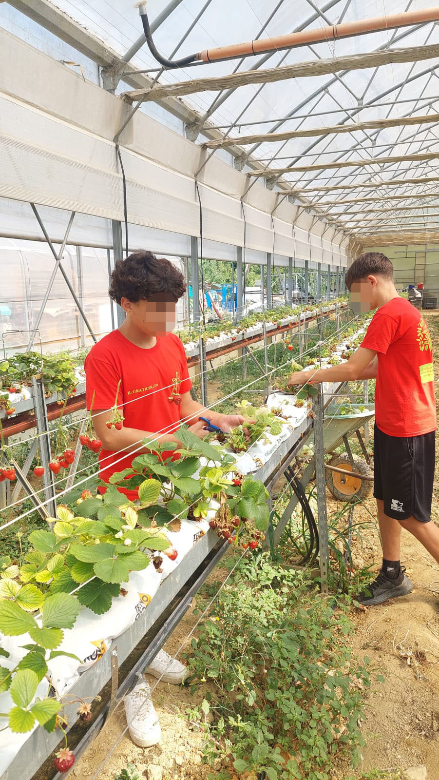 Un successo il “Summer Camp 2025” dei giovani di Piazzola sul Brenta al Centro Paolo VI