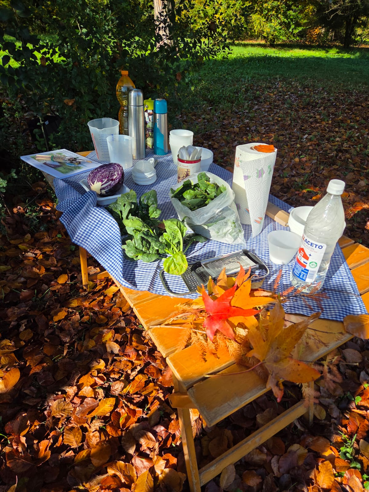 I bimbi della Scuola Materna di Vaccarino al “Parco del Passero”