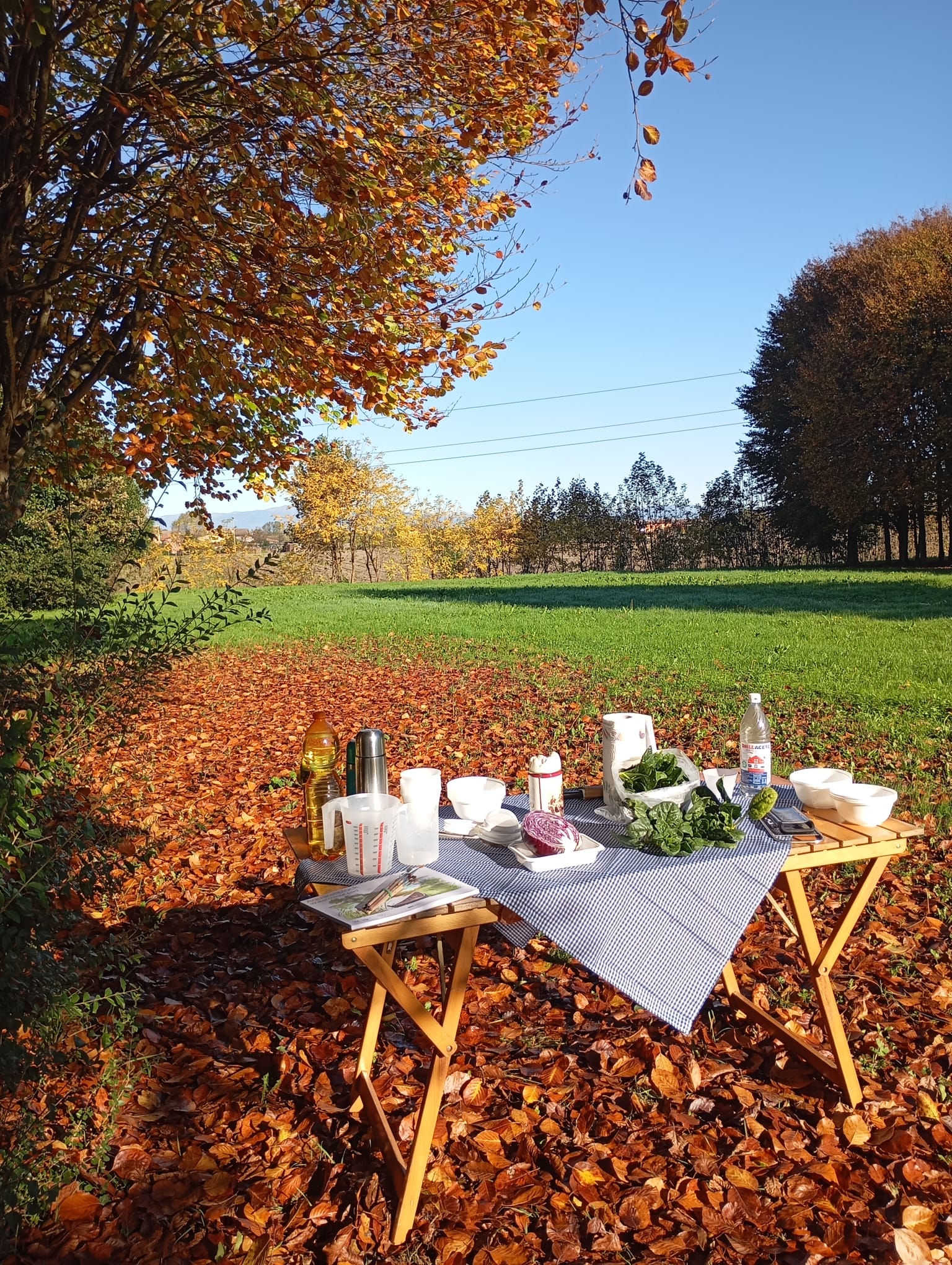 I bimbi della Scuola Materna di Vaccarino al “Parco del Passero”